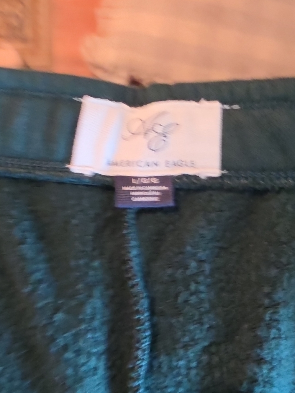 American Eagle Outfitters Dark Greeb Sweats. Everyday Lux Oversized